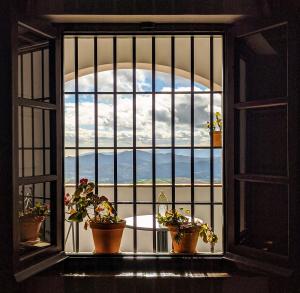 img_20210123_131011_2_easy-resize