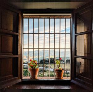 suite_de_hotel_rural_con_chimenea_y_jacuzzi