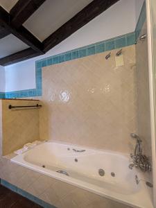 whatsapp_image_2025-03-29_at_13